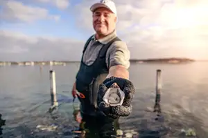 Coffin Bay Oysters & Sightseeing 4WD Tour