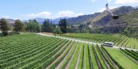 Central Otago Wine Tour | Queenstown