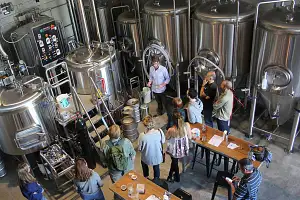 Marrickville Half Day Brewery Walking Tour