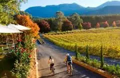 Cycling tour Beechworth deal