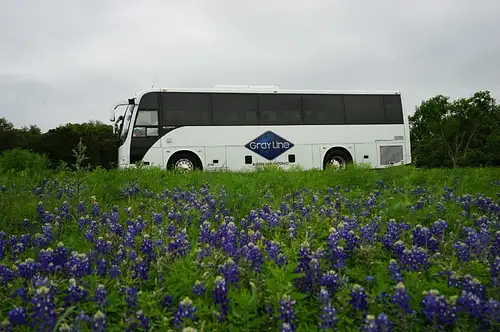Texas Hill Country and LBJ Ranch Guided Day Trip from San Antonio