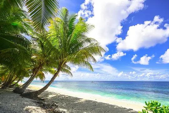 BOOK TOURS, ACTIVITIES & THINGS TO DO!