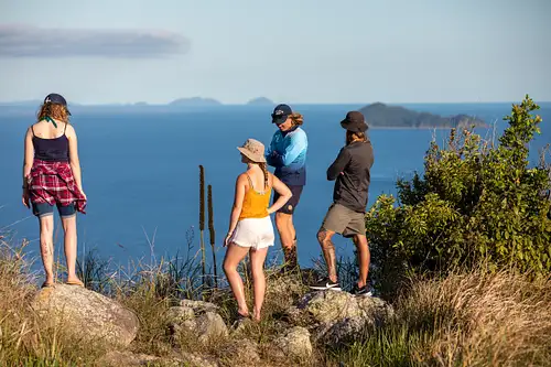 south molle island transfers from airlie beach