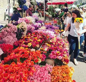 Historic Markets Blue Badge Guide | Half Day Private Tour