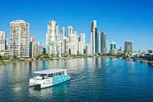 1 Day Gold Coast Hop-on Hop-off Ferry Pass
