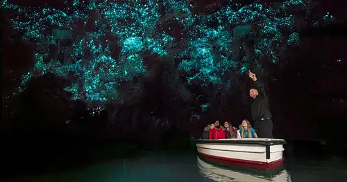 Waitomo Glowworm Cave Tour | Auckland