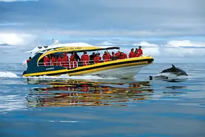 TASMAN ISLAND 3 HOUR CRUISE FROM PORT ARTHUR