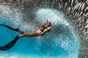 7 Day Maldives Adventure Snorkel Sand Sun | Autopia Tours