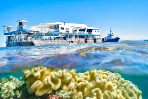 Reef Magic Cruises